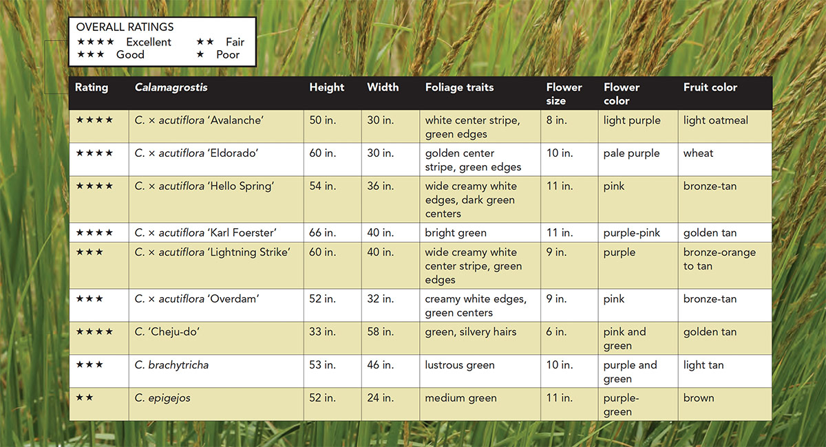 reed grass trial result chart