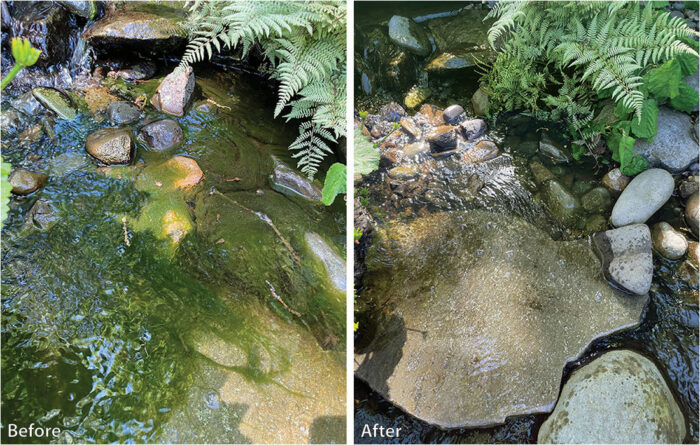 cleaning algae from a water feature