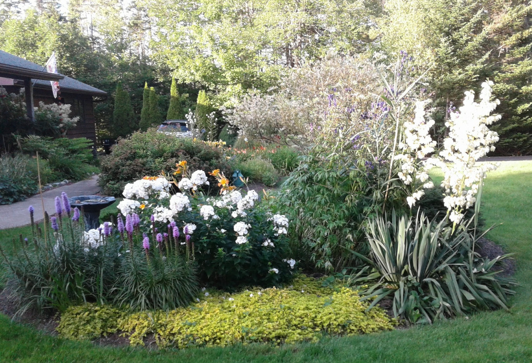 small garden bed with white and purple flowers