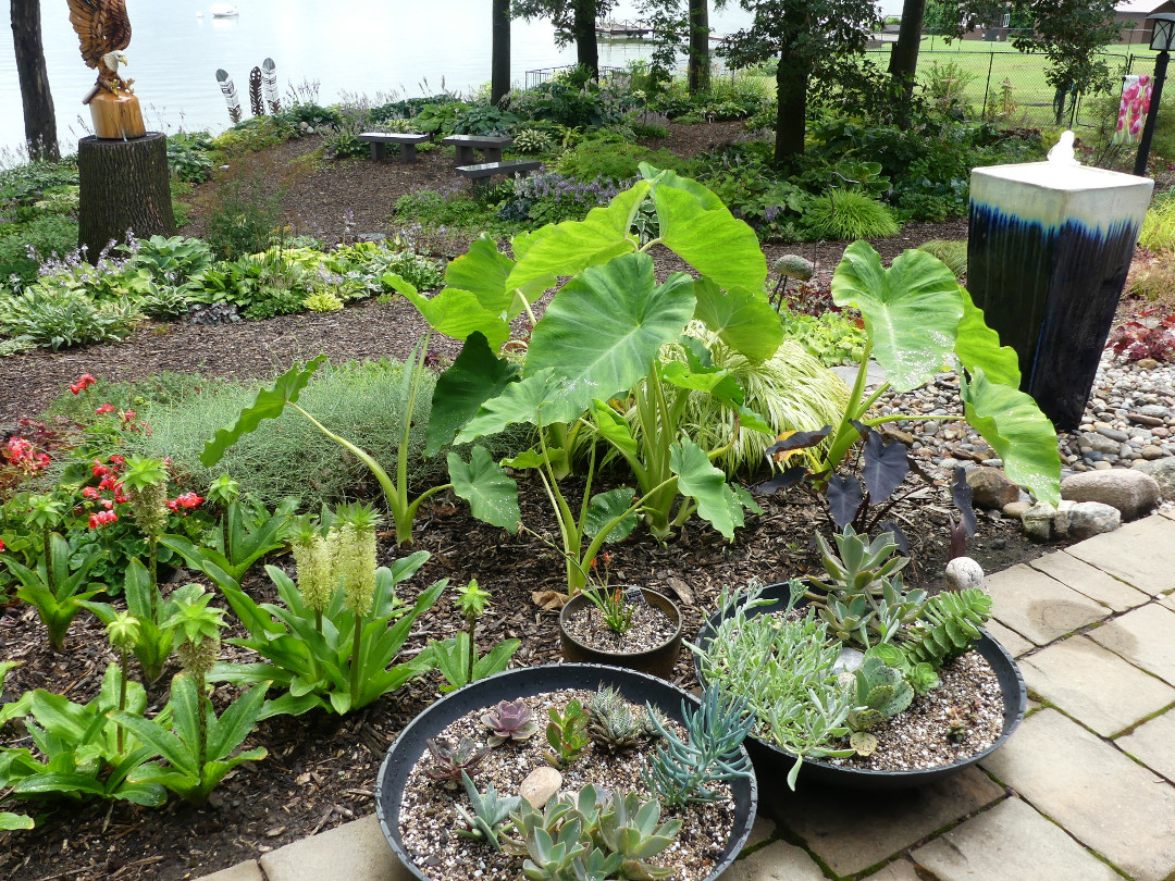 small planting of tropicals and two containers with succulents