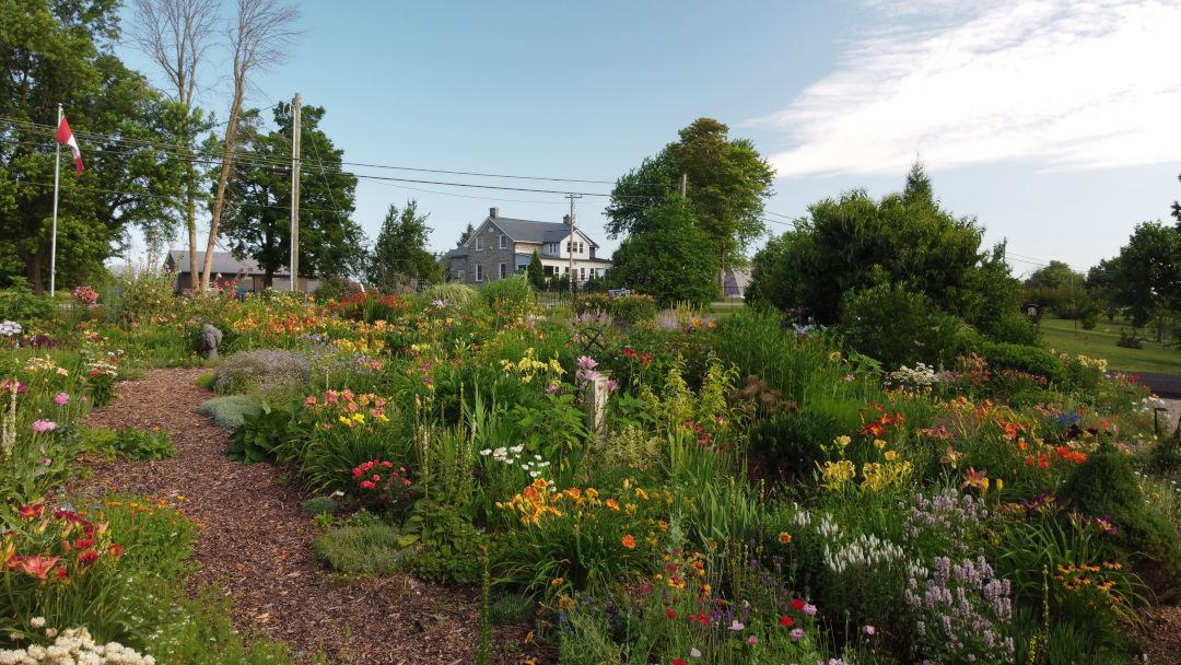 wide view of flower-filled front garden