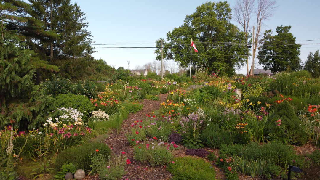 another view of flower-filled garden