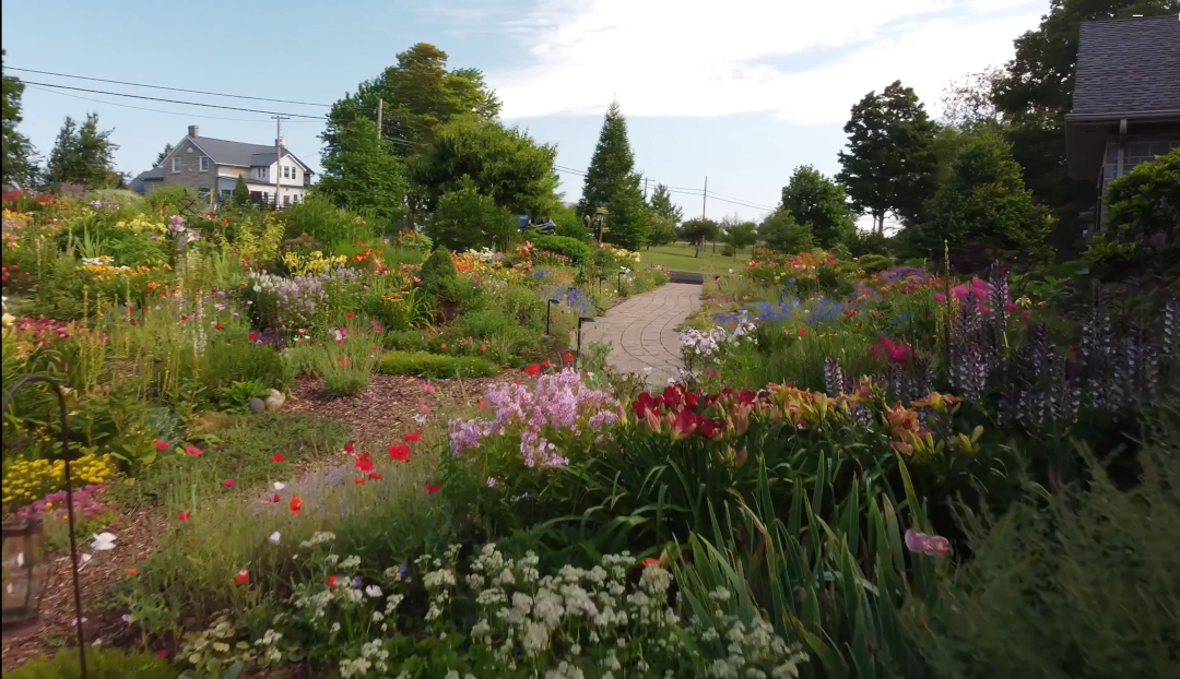 view of stone path from densely planted flower garden