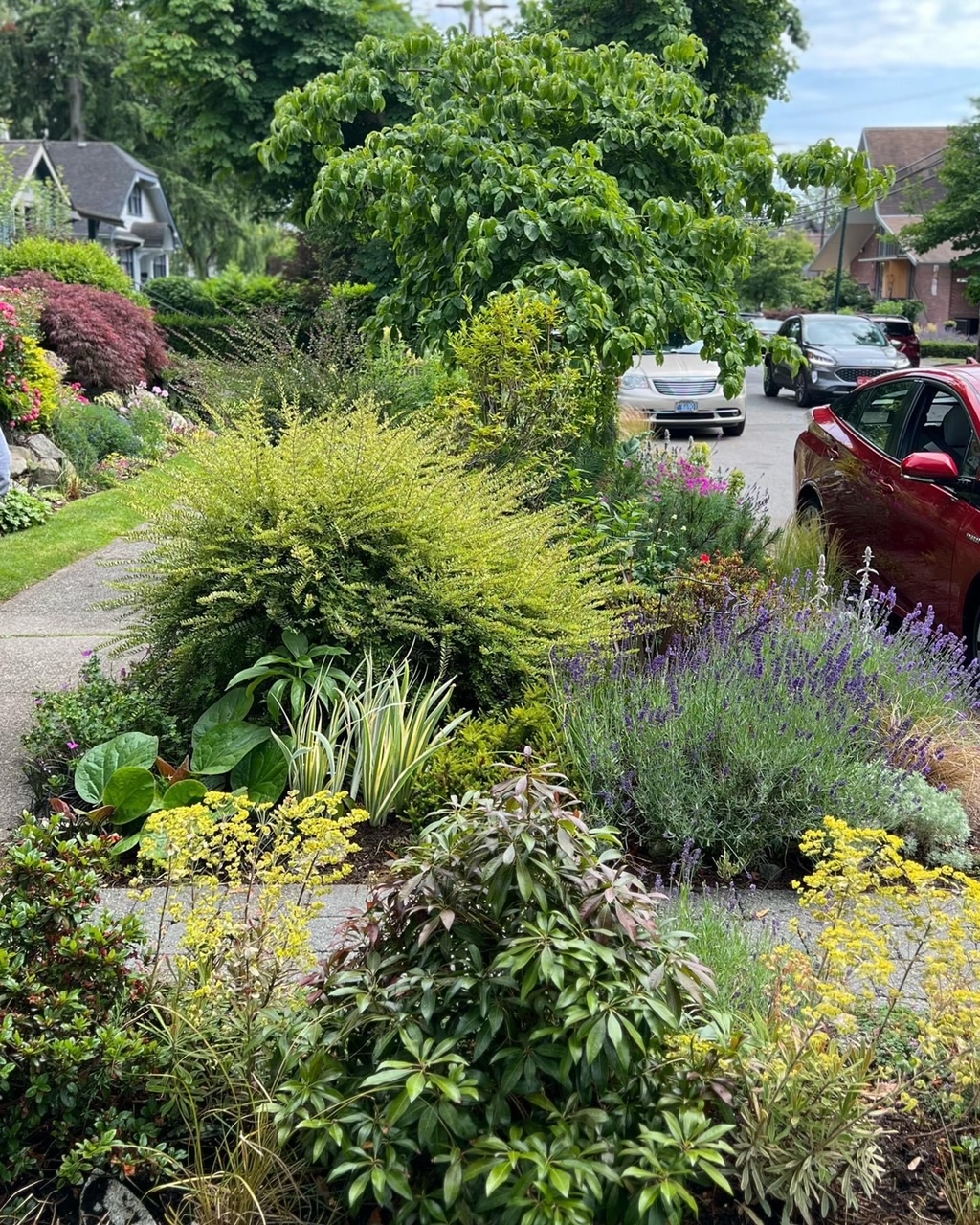 another view of roadside garden bed