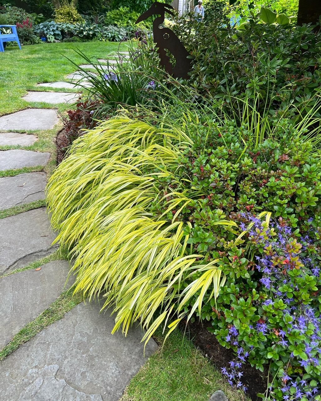 chartreuse ornamental grass growing over a stepping stone path