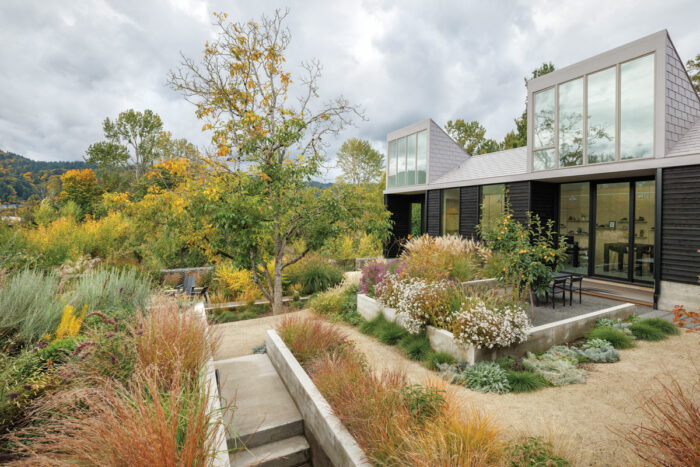 back of house with patio and chairs facing a garden with lots of trees