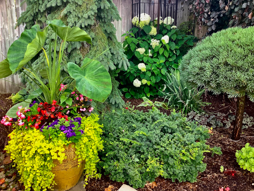 colorful container planting in front of various shrubs and trees