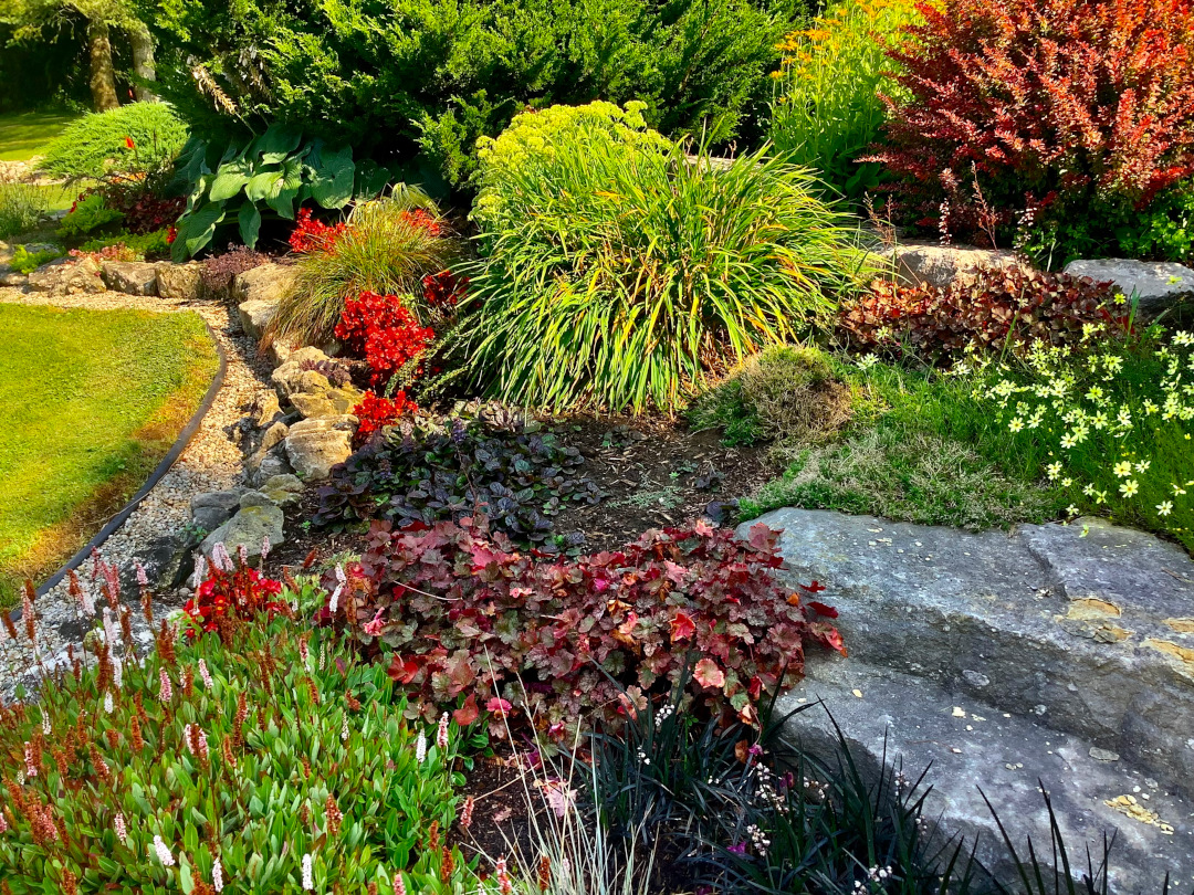 garden bed with red flowers and foliage