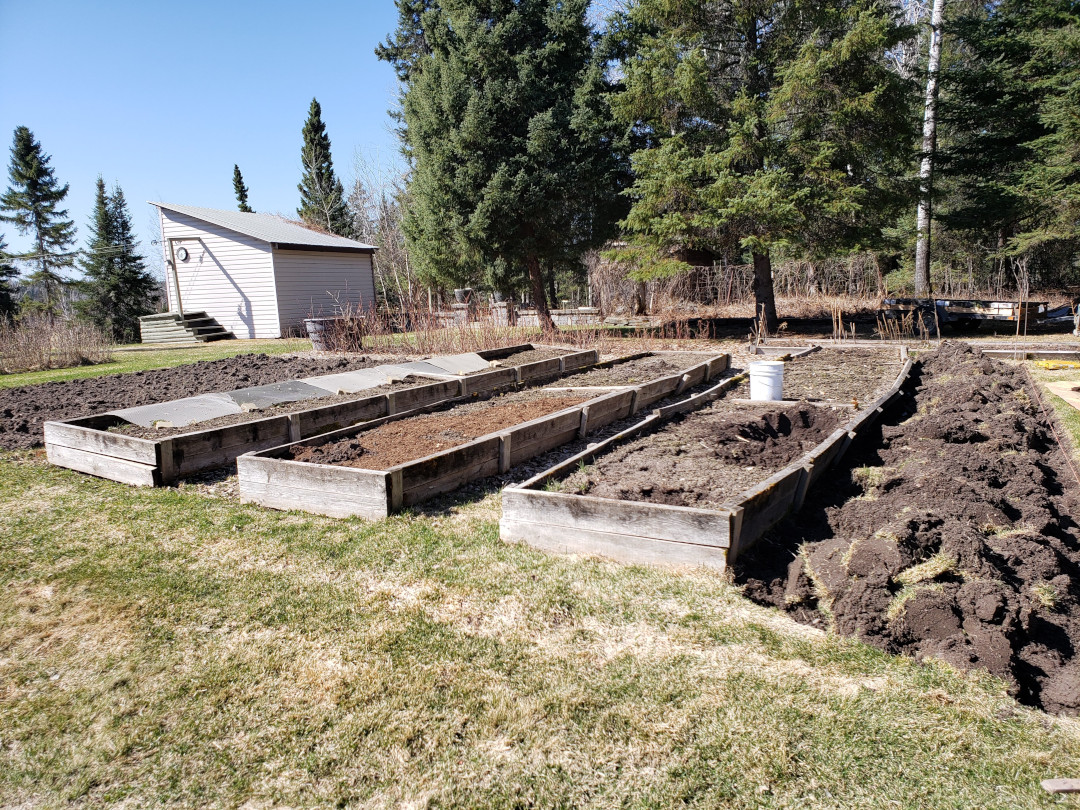 raised beds in old vegetable garden