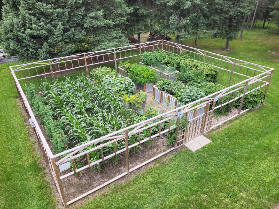 overhead view of finished vegetable garden