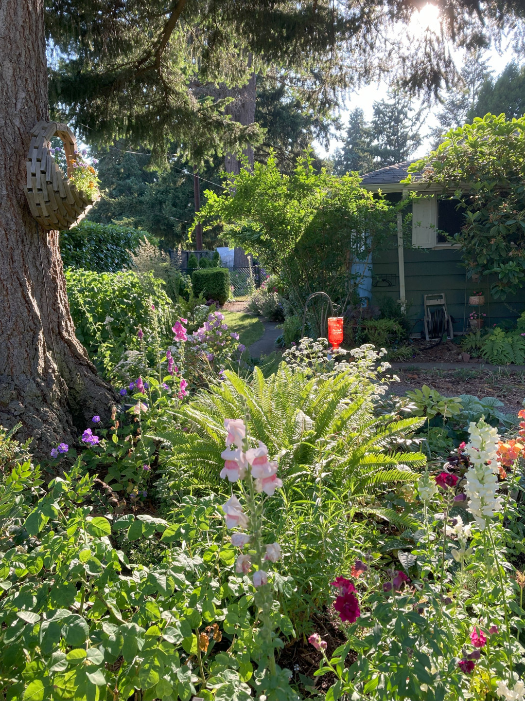 close up of another front yard garden bed with lots of flowers