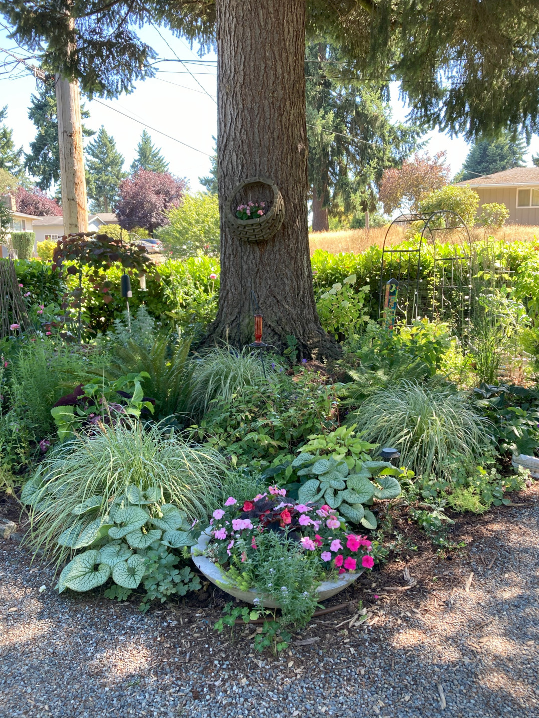 garden bed under a tree featuring a pot planted with pink flowers