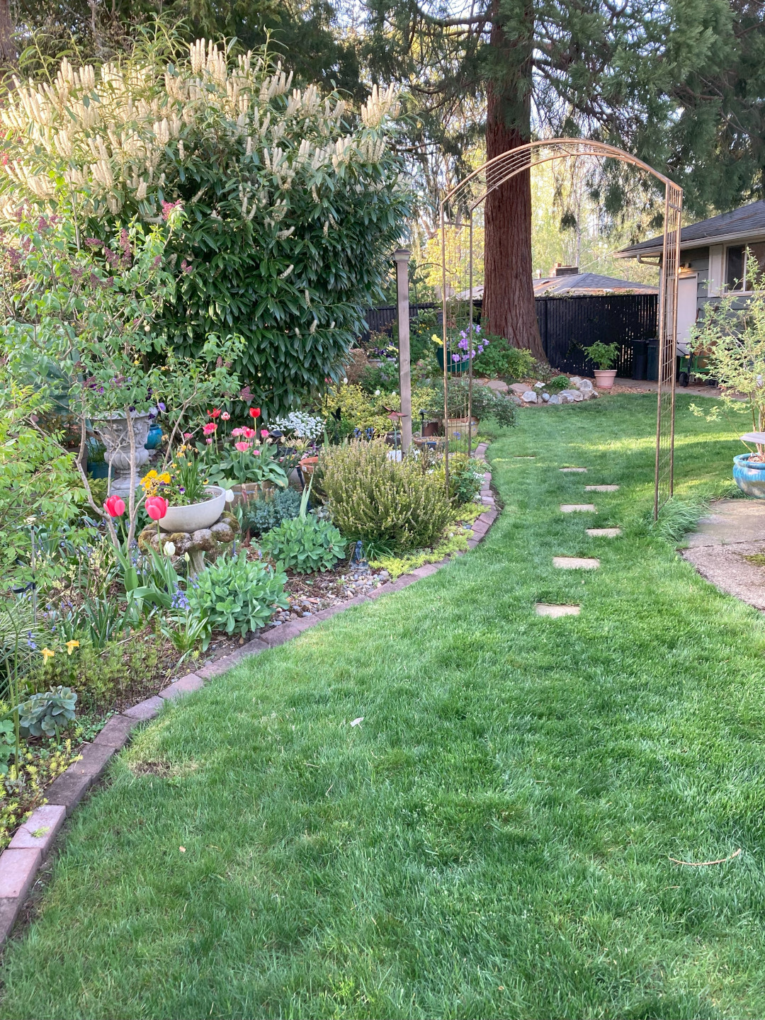 back yard garden in spring