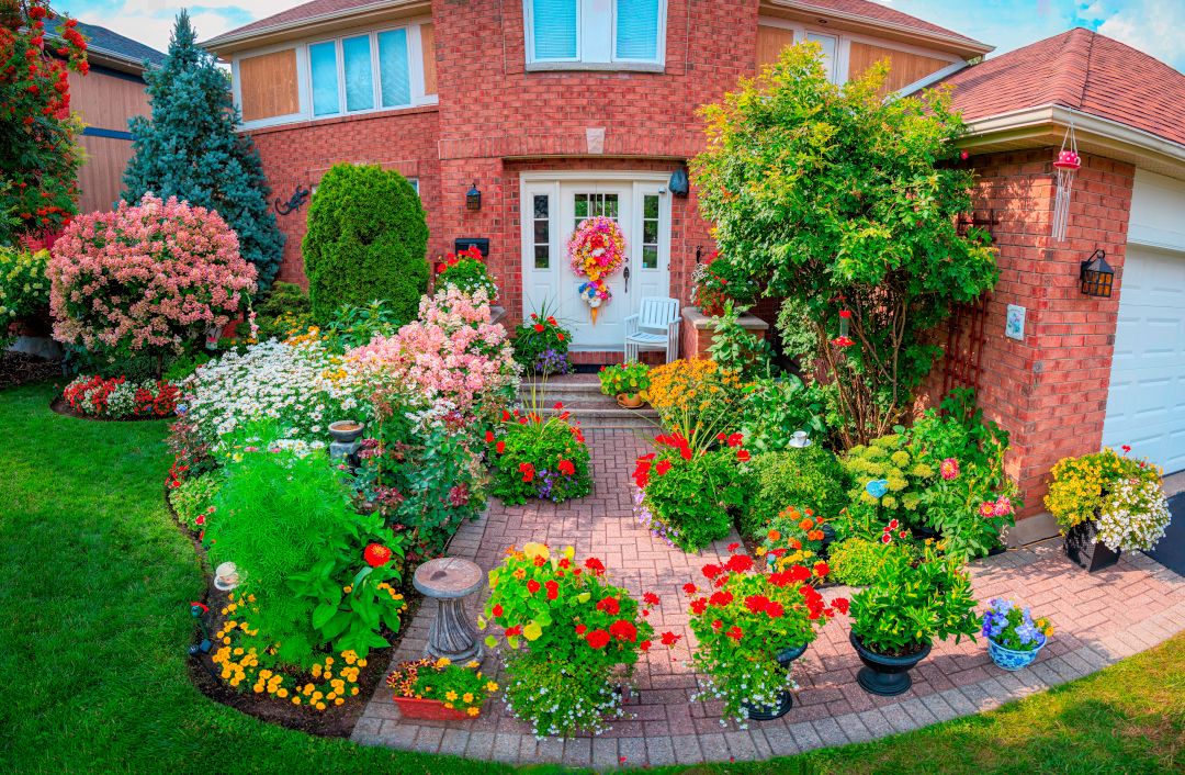 front yard filled with flowers and potted plants