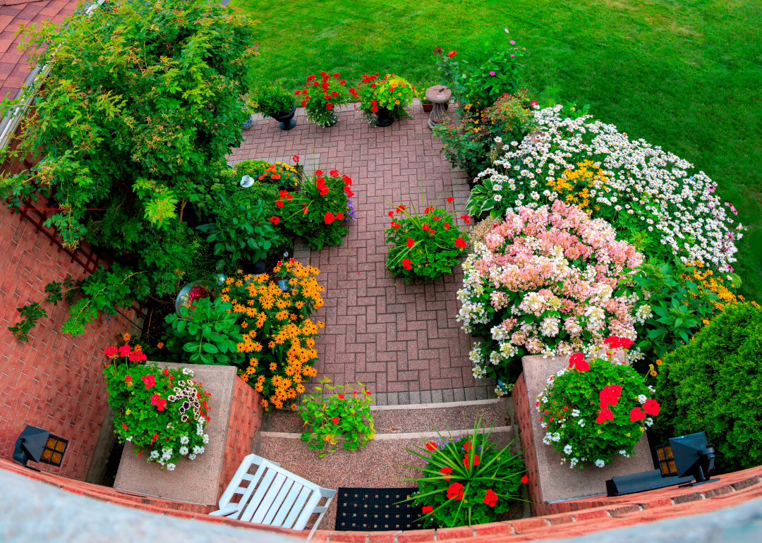 view of front yard garden from above