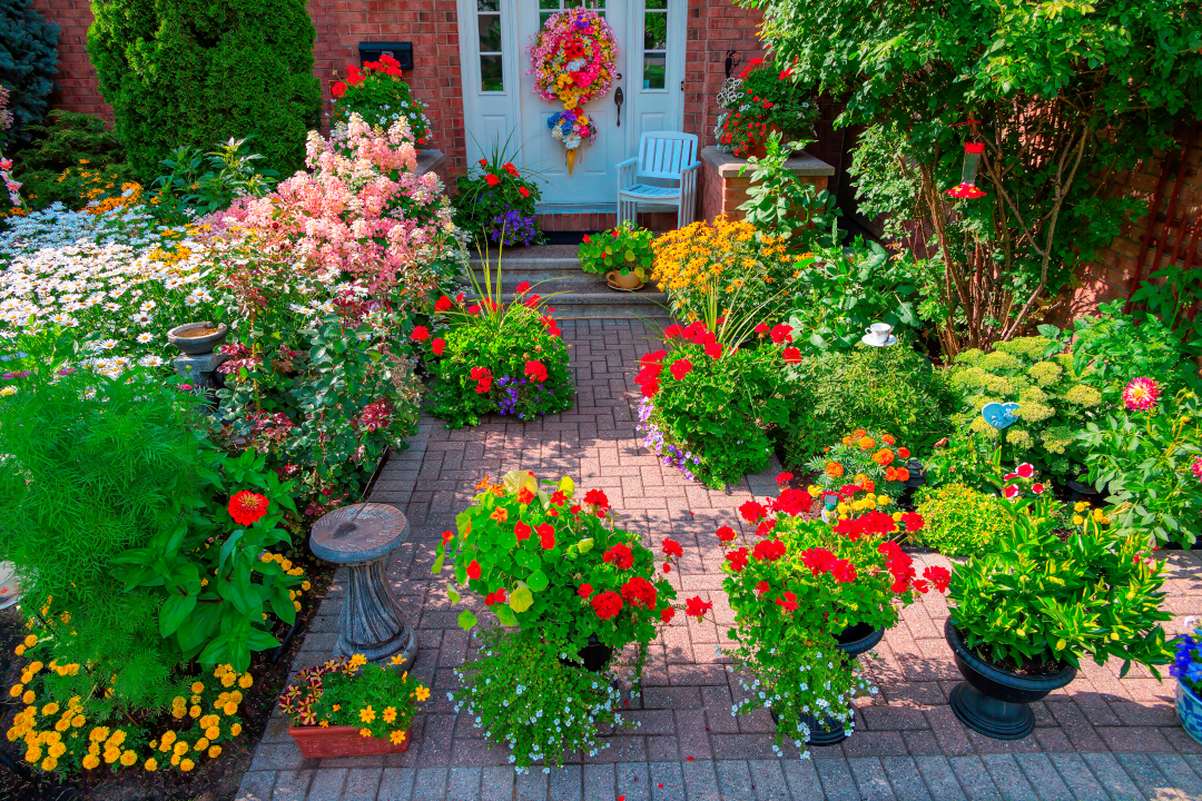 close up of container plants on front yard garden path