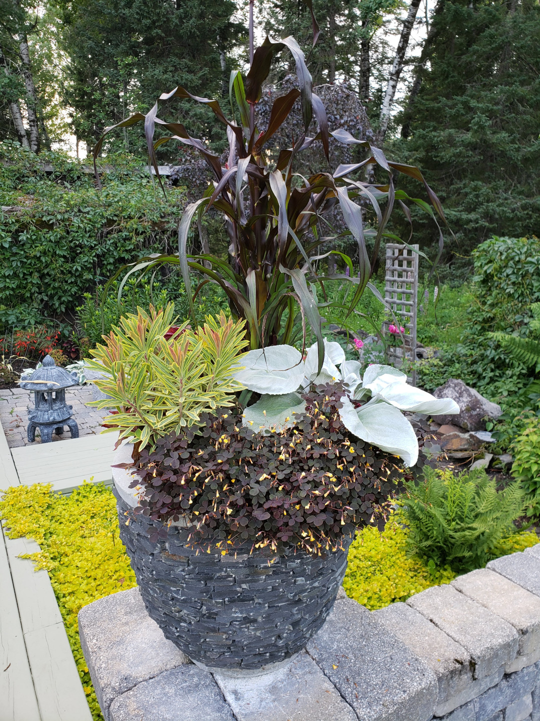 close up of container with various colorful foliage plants