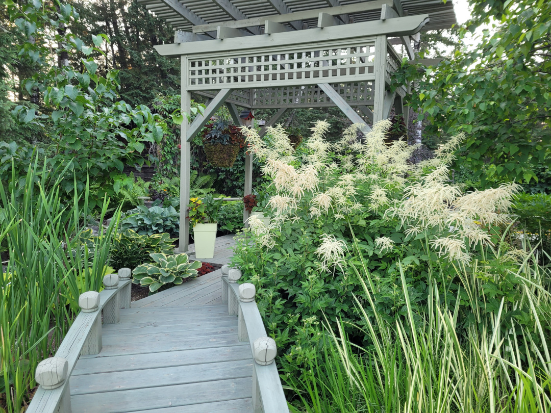 view of Japanese garden from other end with various ornamental grasses