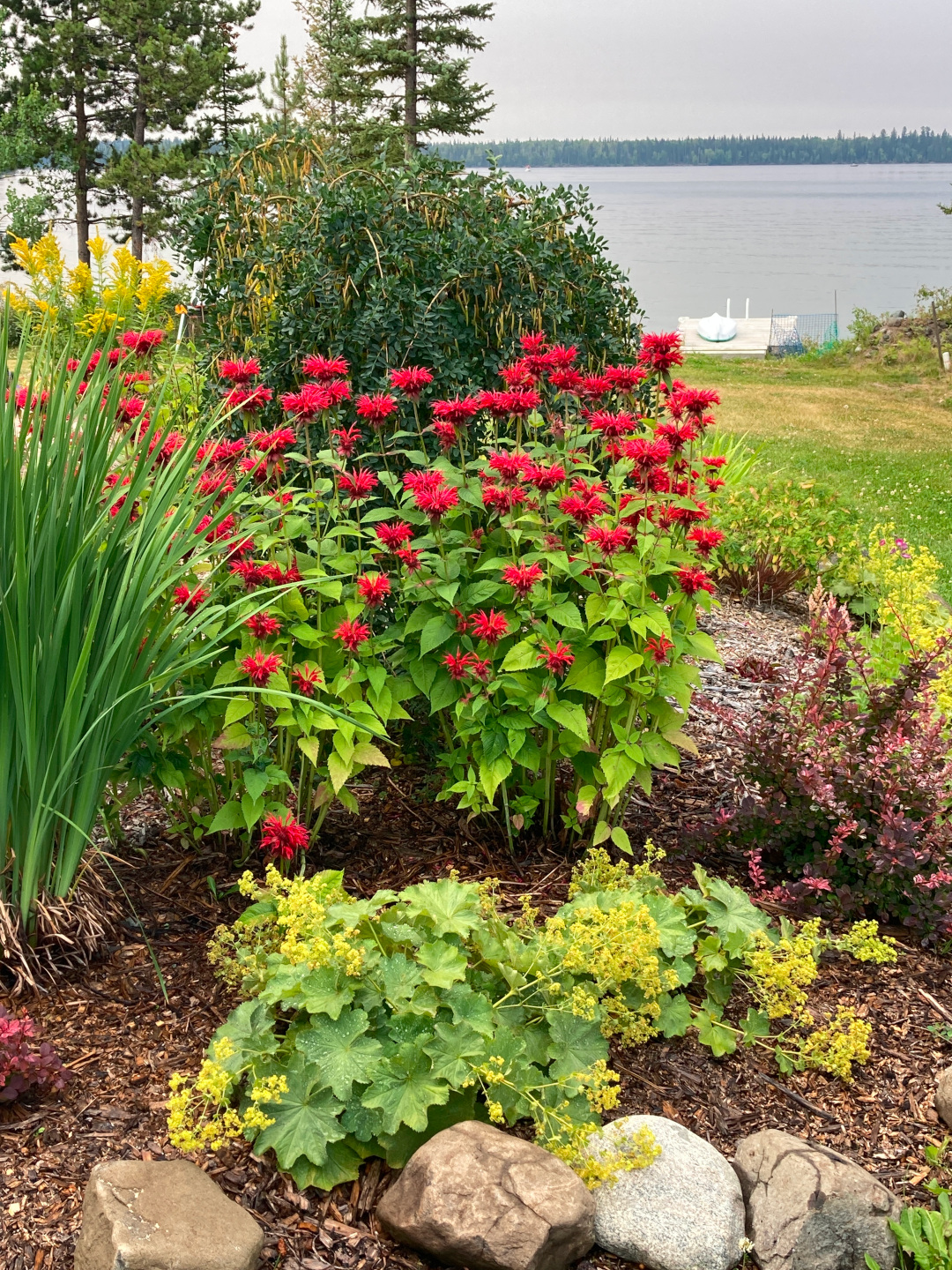 flower garden in front of a lake