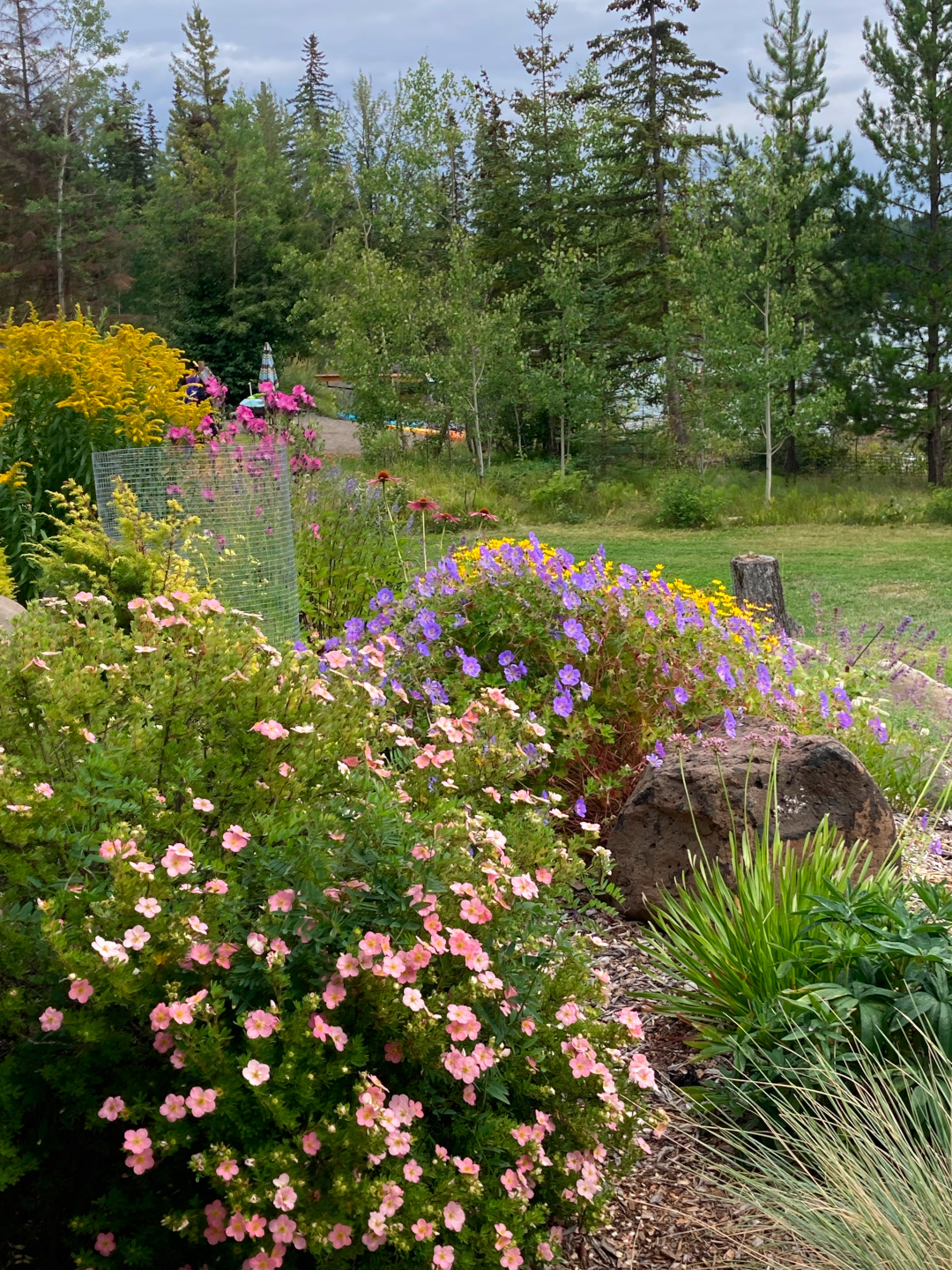 close up of garden bed with pink and purple flowers