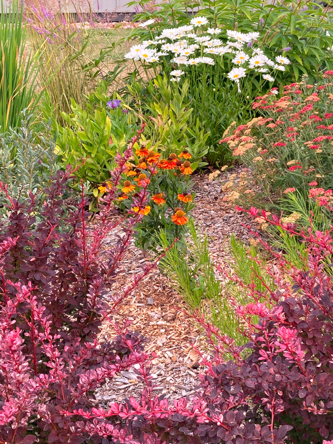 close up of garden bed with pink orange and white plants