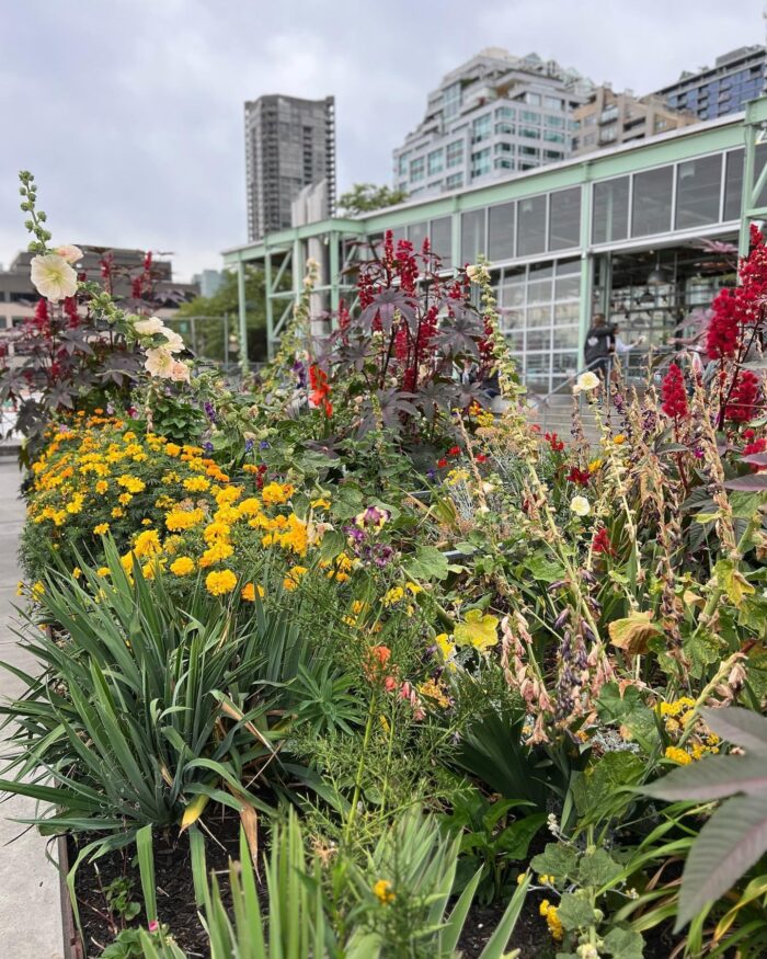 long garden bed with red and yellow flowers