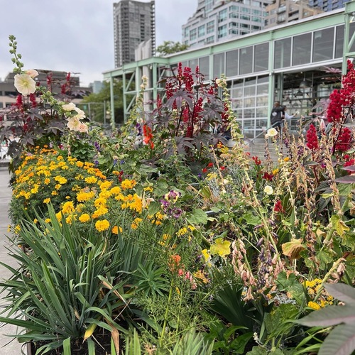 long garden bed with red and yellow flowers