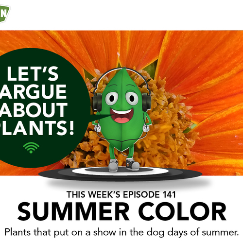 Episode 141: Summer Color – FineGardening