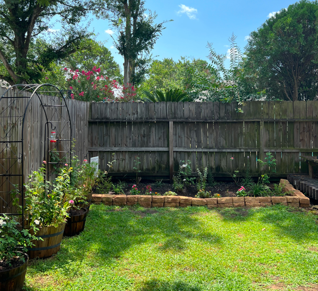 small backyard garden in early summer