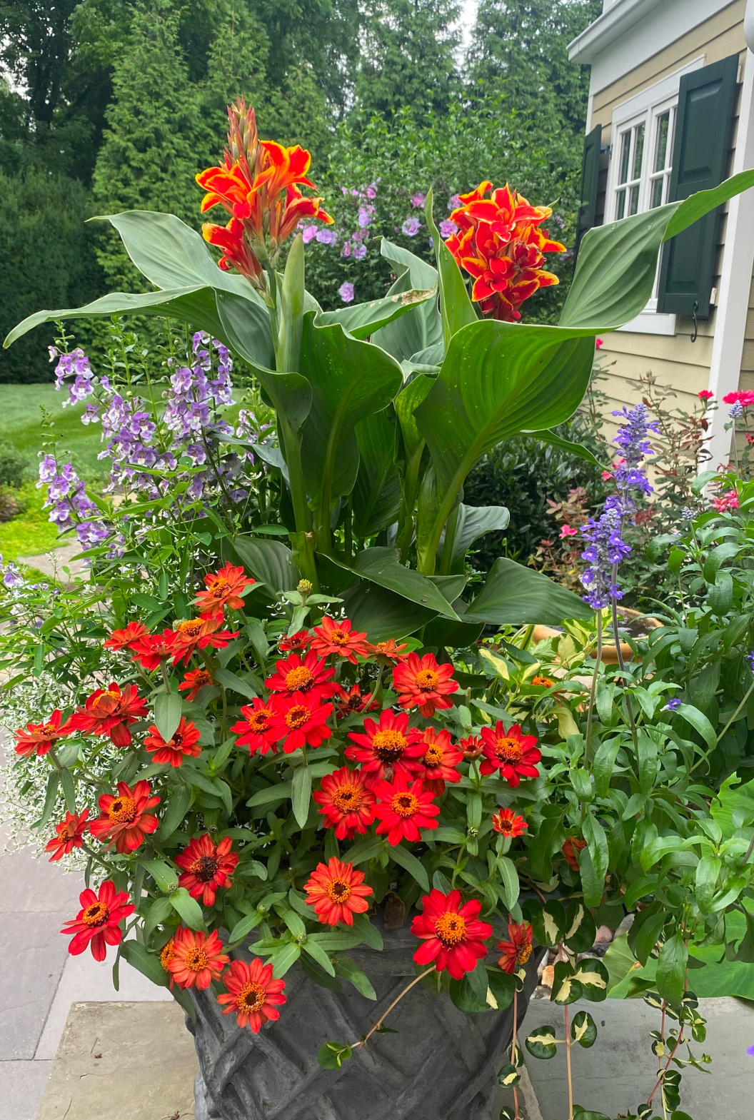 close up of container planting with orange and purple flowers