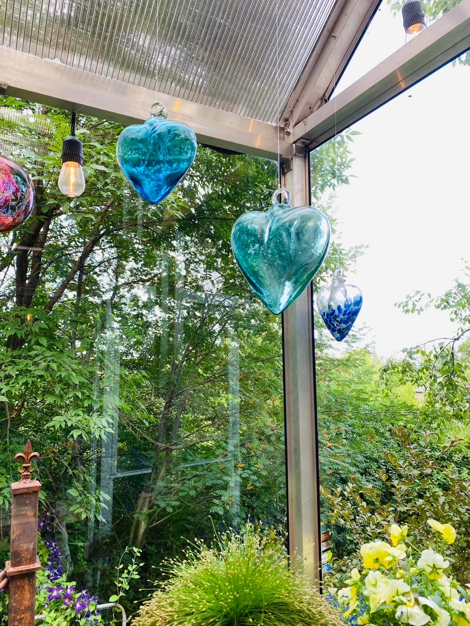 view of garden from inside greenhouse