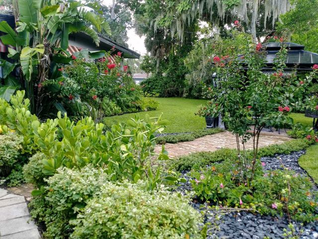 shrubs, small trees and ground covers around a brick garden path