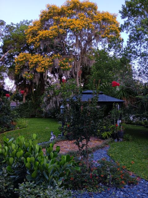 garden at dusk with lots of plants in bloom