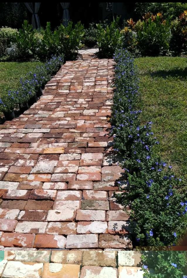 small plants along a antique brick walkway