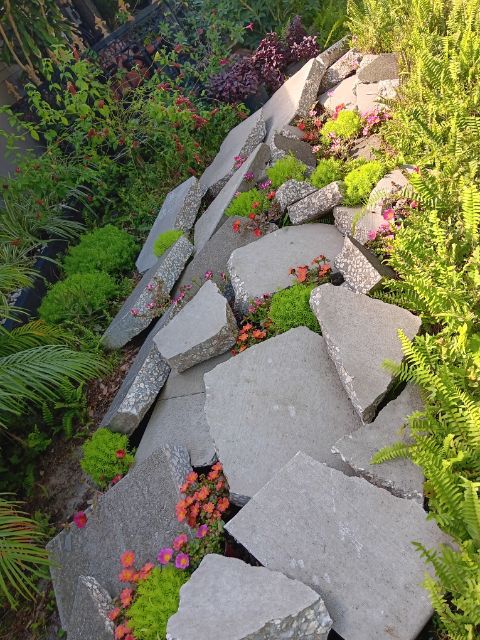 old broken slabs of concrete used to create a unique garden bed