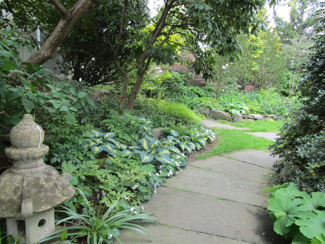 path cutting through a shade garden with lots of foliage plants