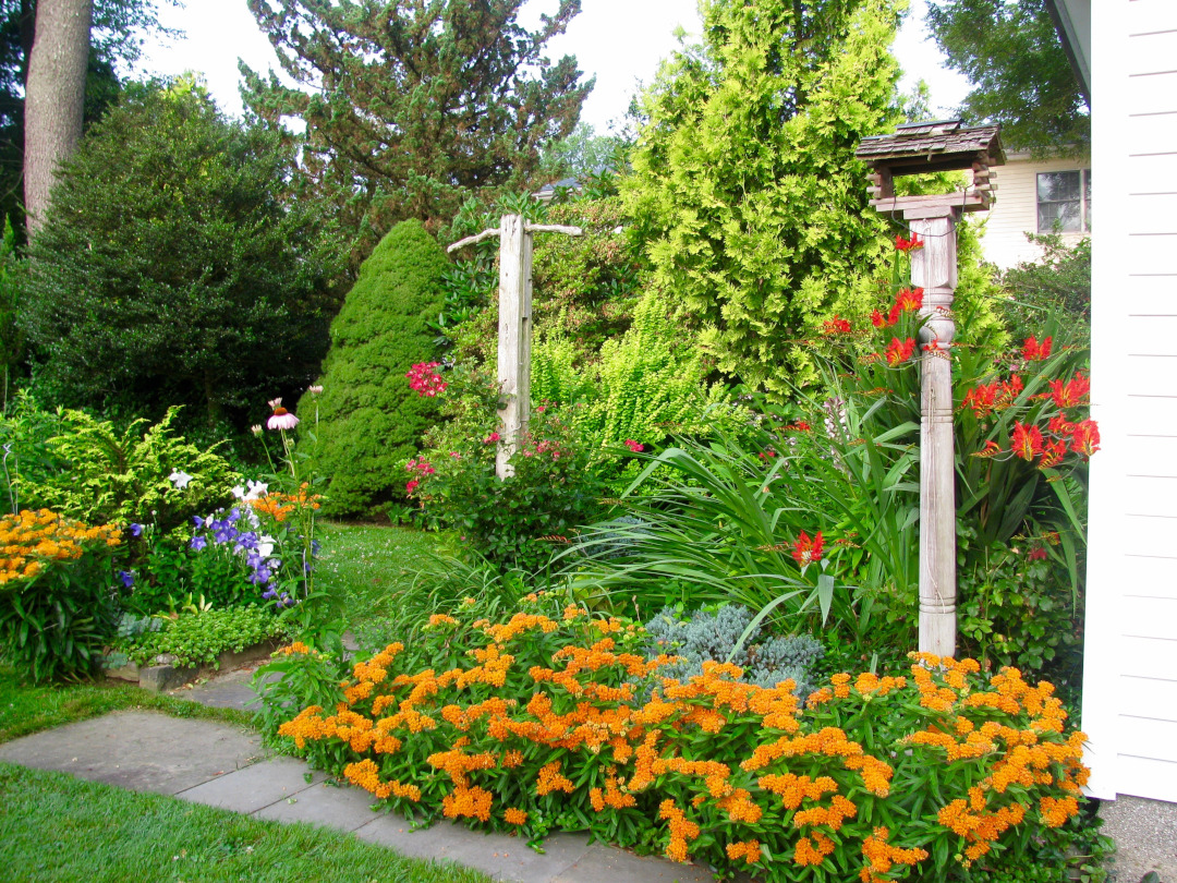 garden with bright orange and red flowers