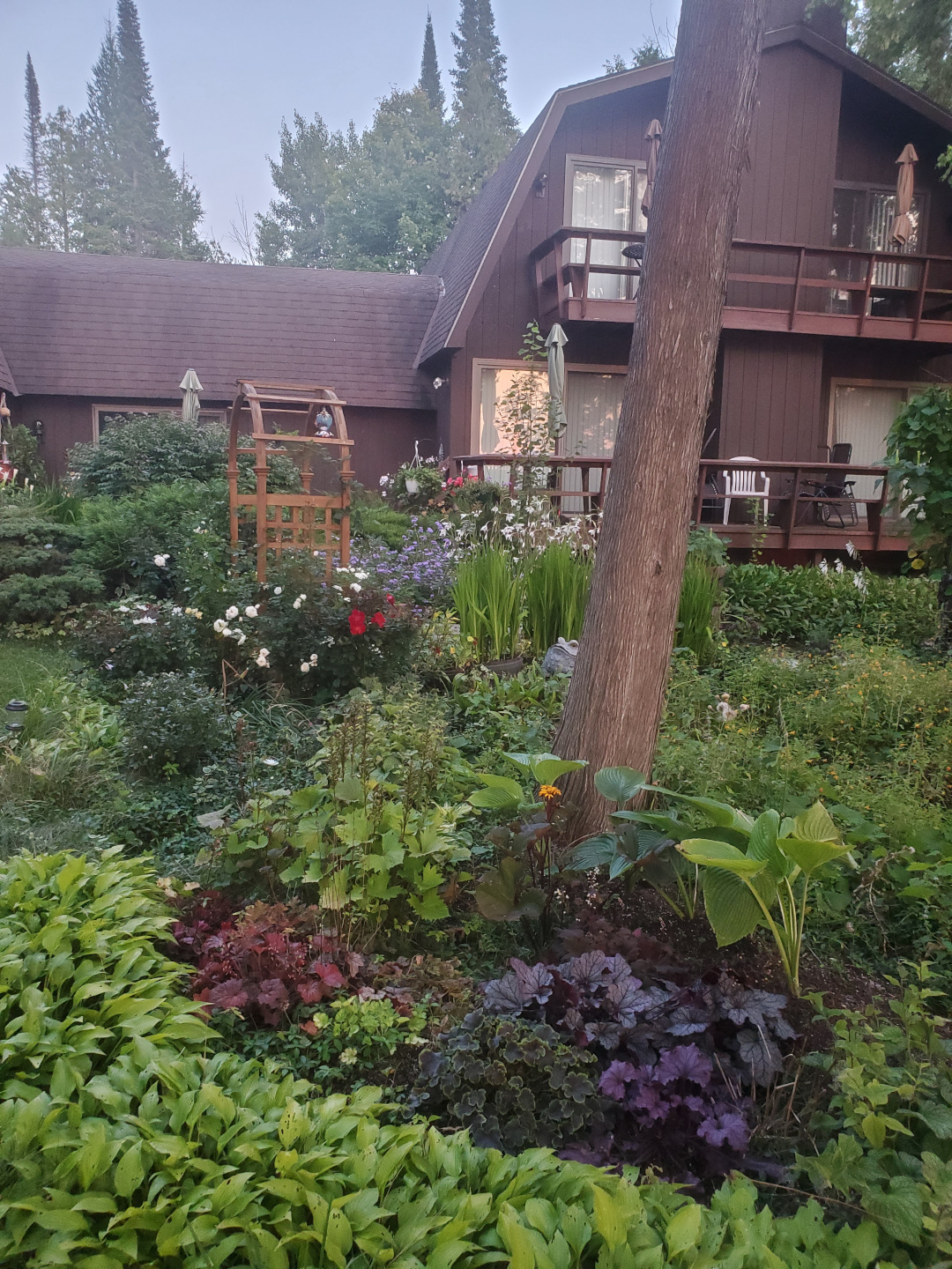 densely planted garden bed with various foliage plants 