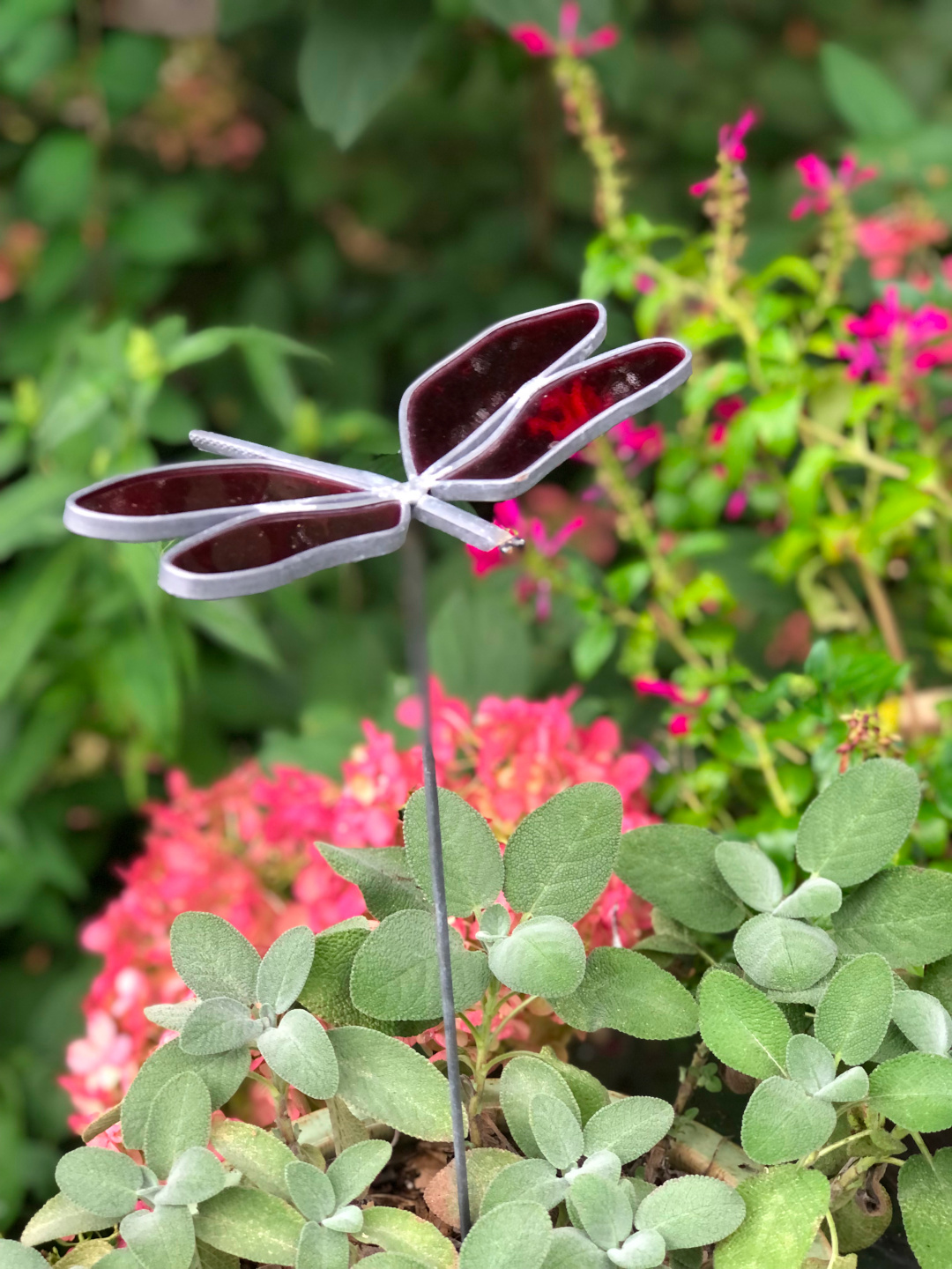 glass dragonfly garden art over plants