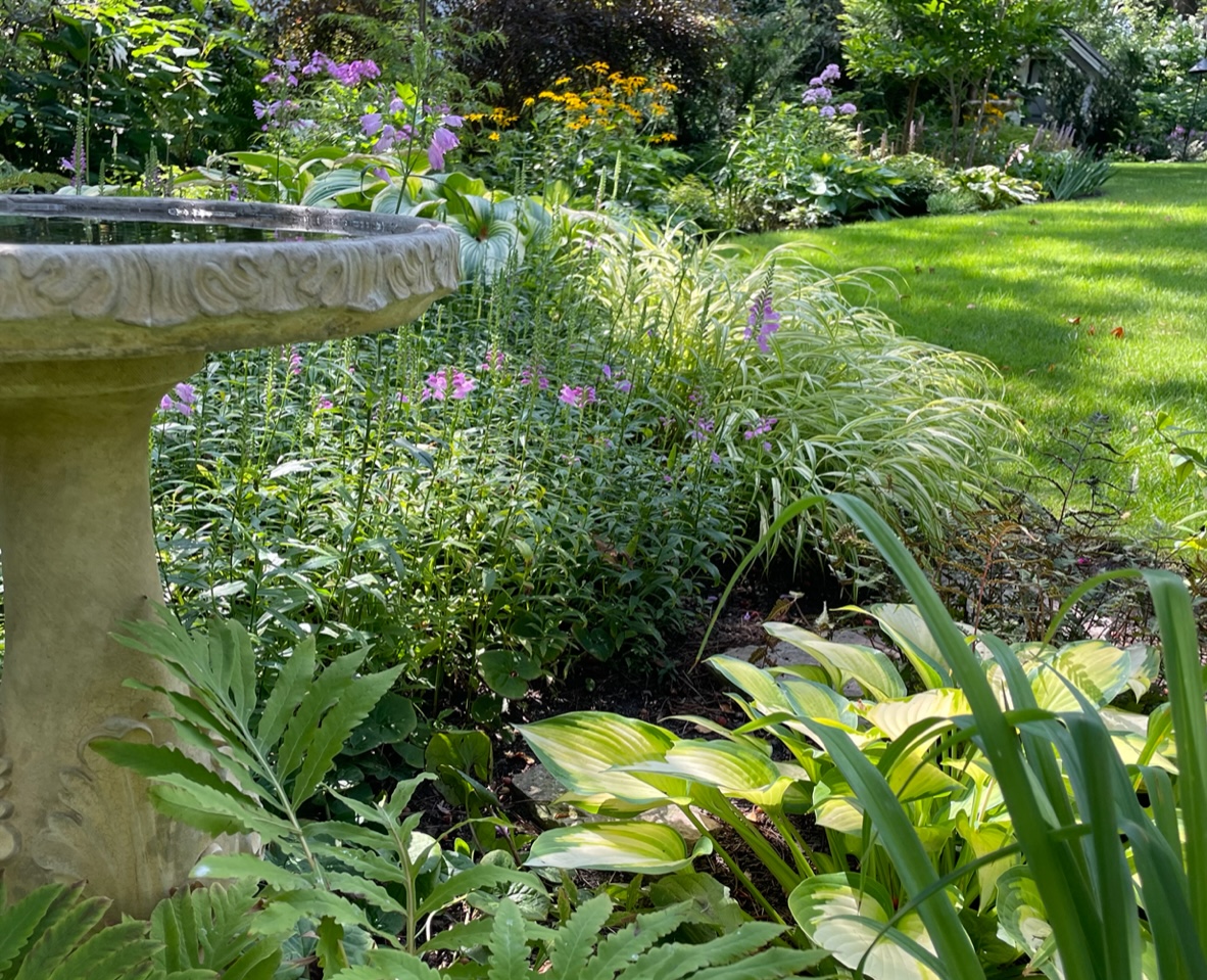 close up of bird bath surrounded by grasses and other foliage plants