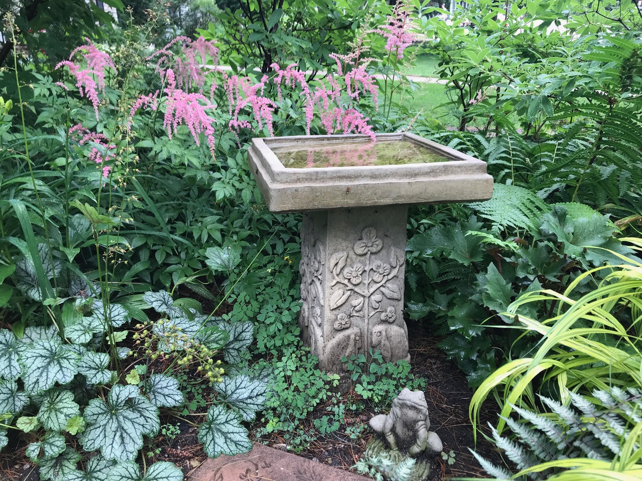 a square birdbath surrounded by foliage plants and pink flowers