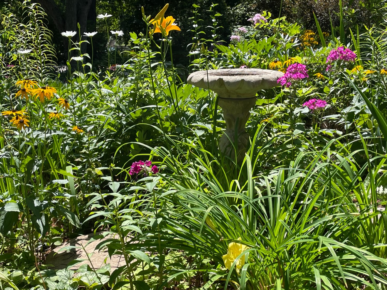 small birdbath surrounded by yellow and pink flowers