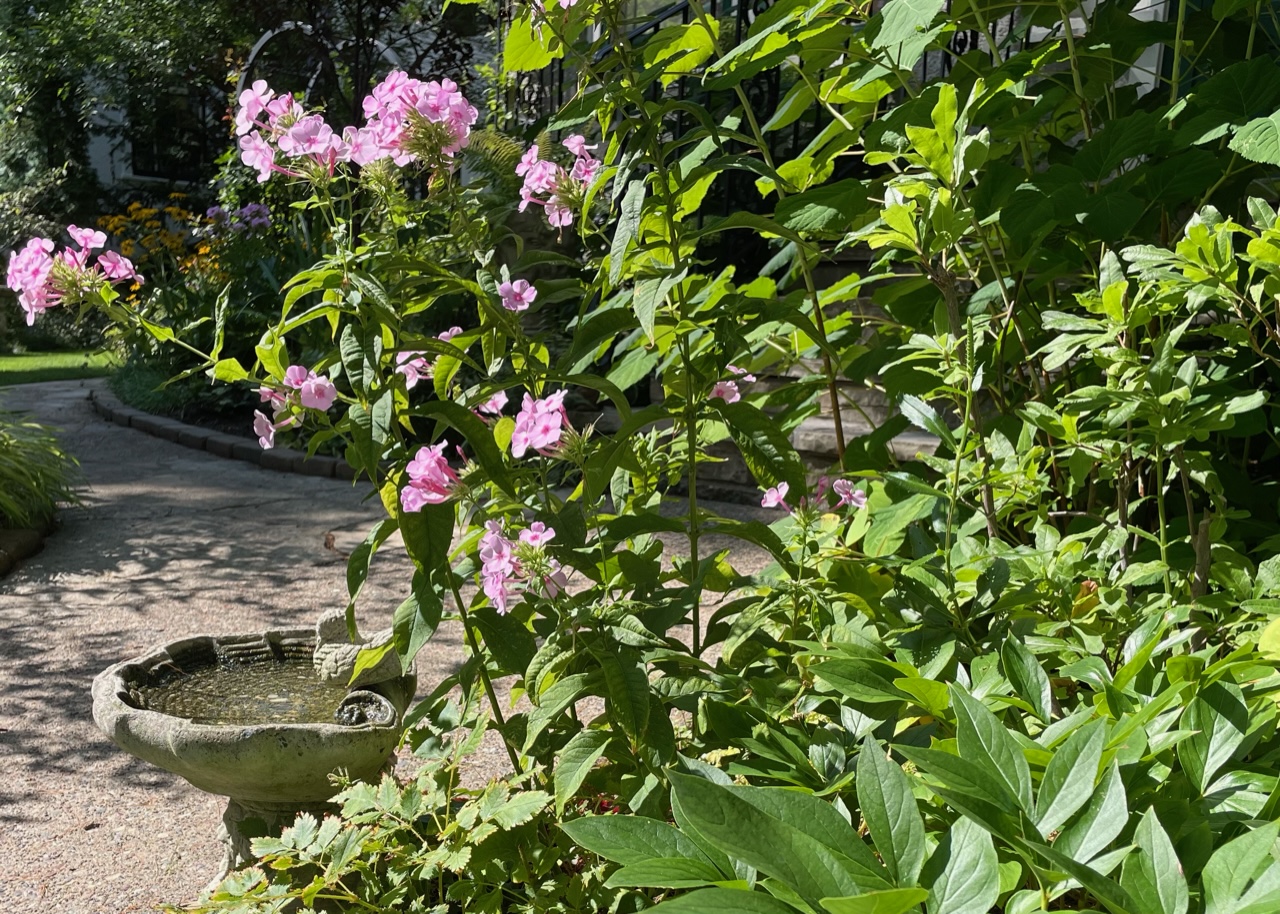 small birdbath with pink flowers growing above