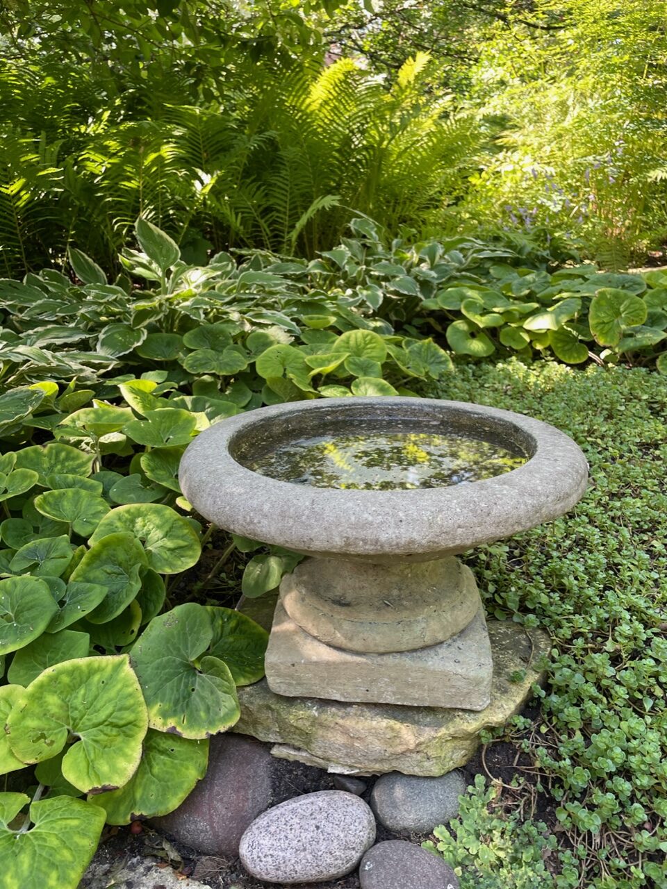 short bird bath stacked on stones surrounded by foliage plants