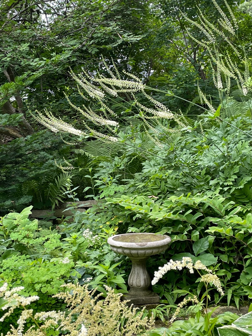 small bird bath in the garden