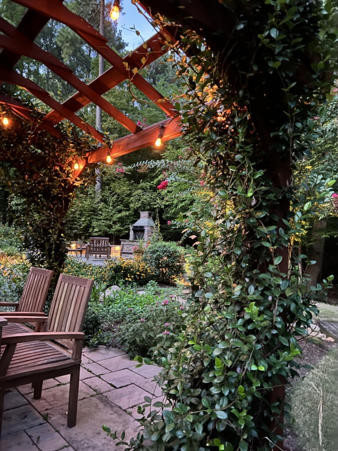 arbor covered in vines above a garden patio