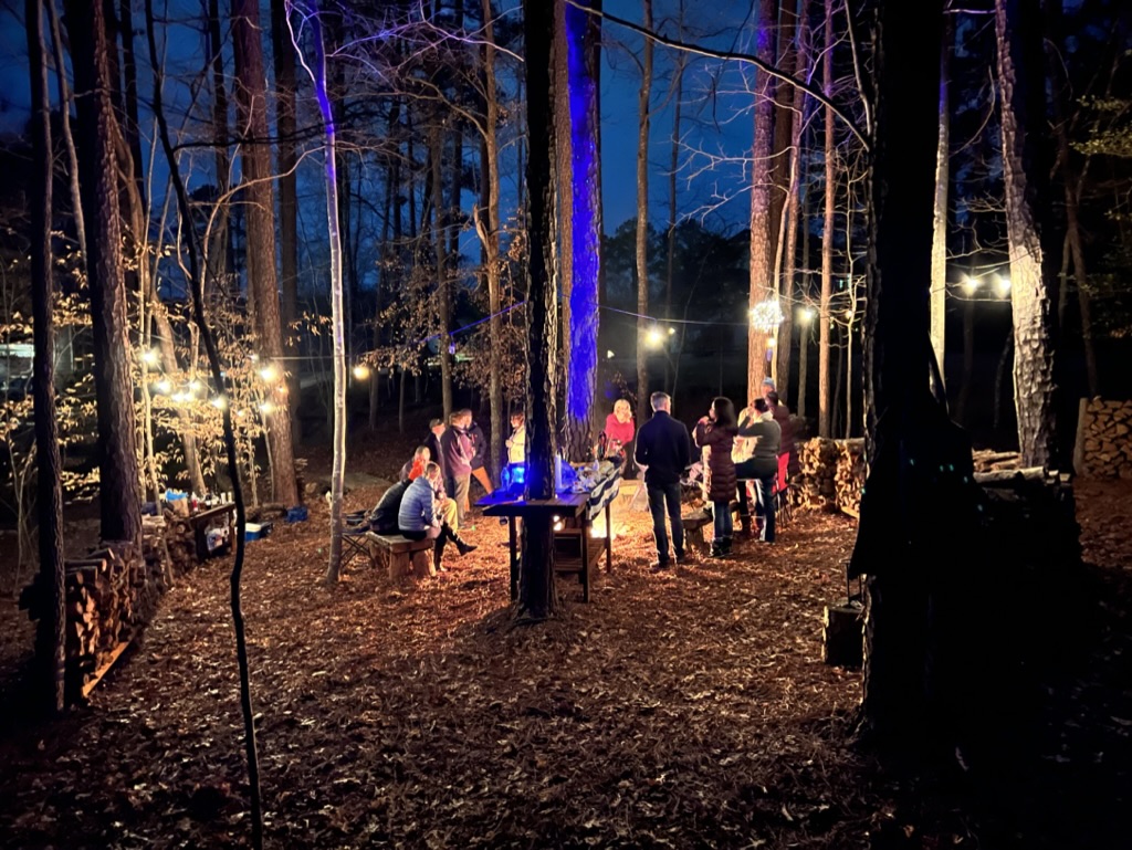 seating area in the garden surrounded by trees