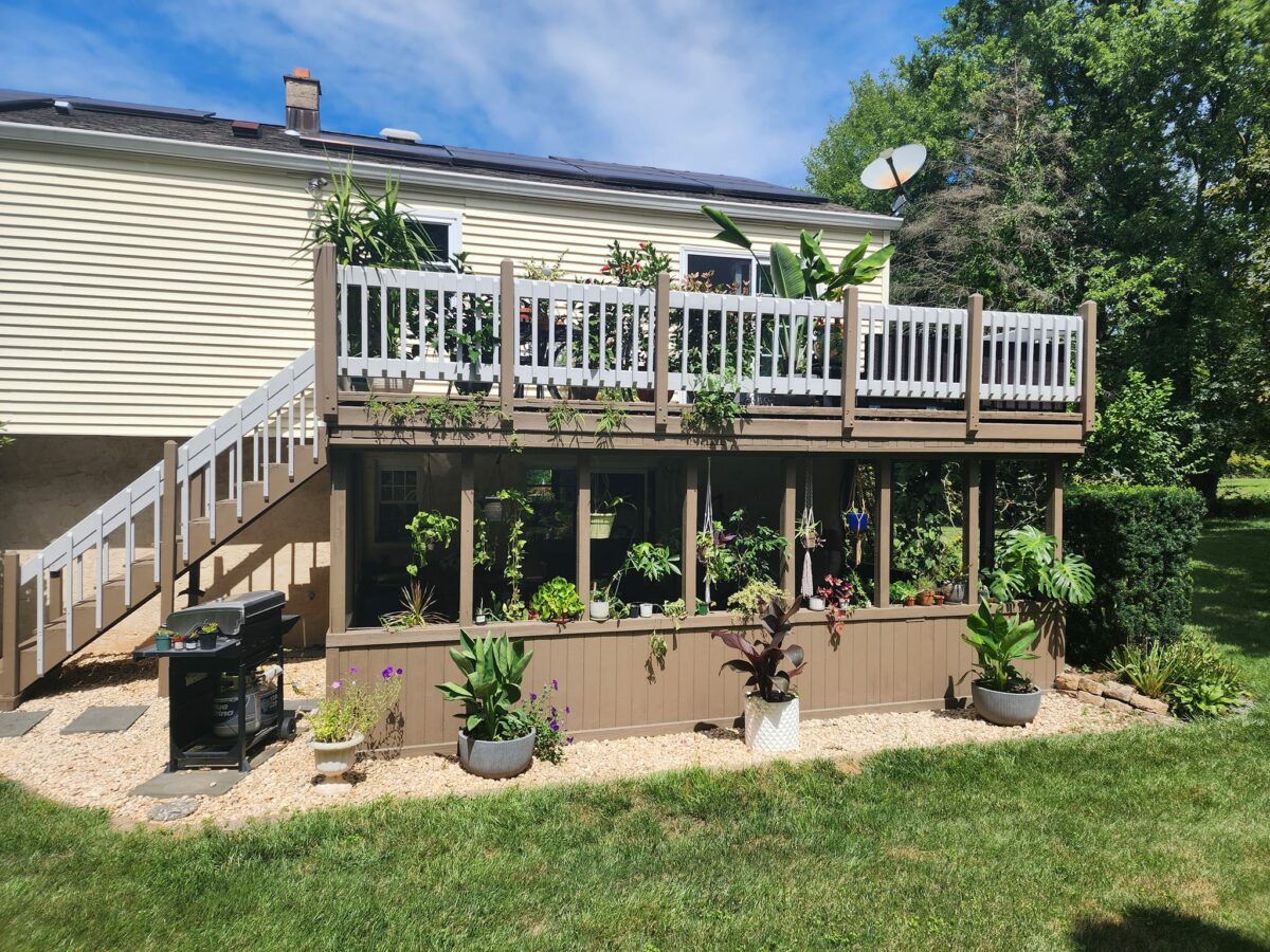 backyard deck covered in potted plants