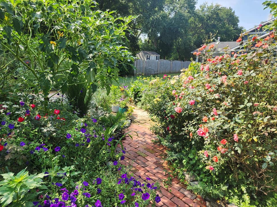 densely planted gardens around brickwalkway