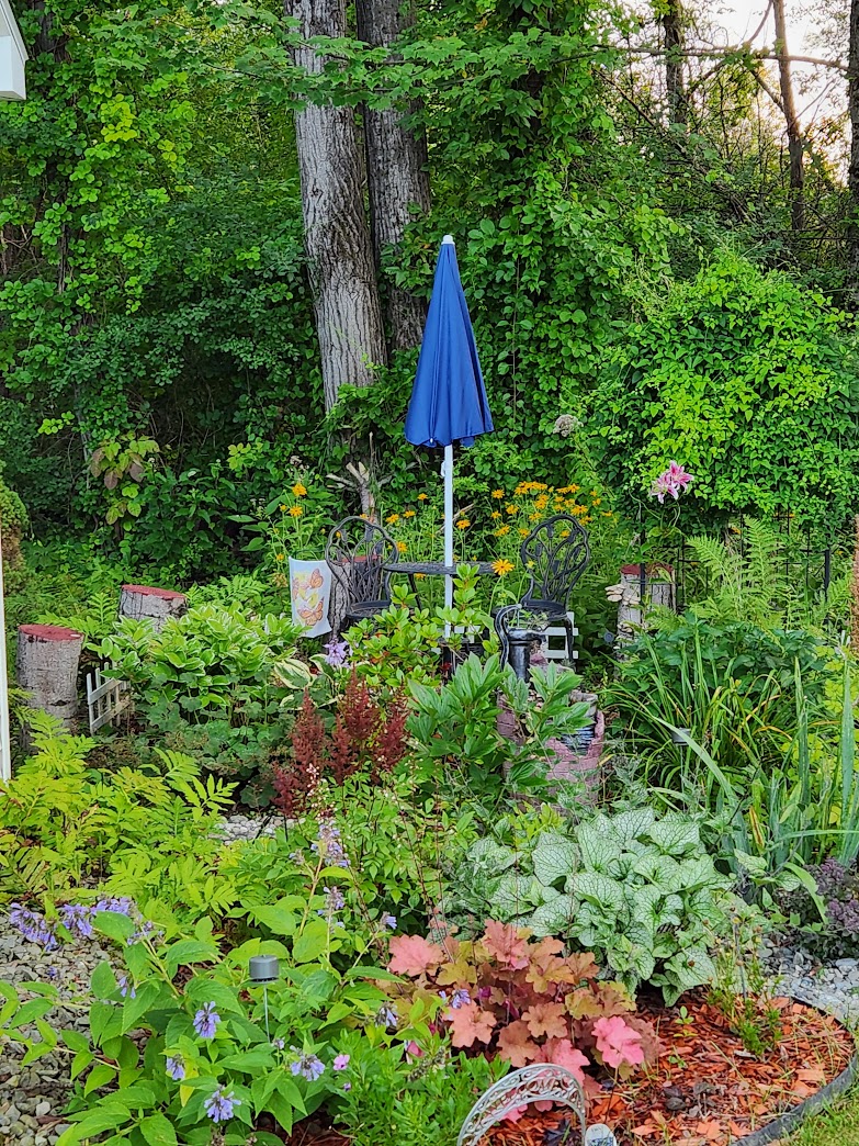 various plants around a small garden patio